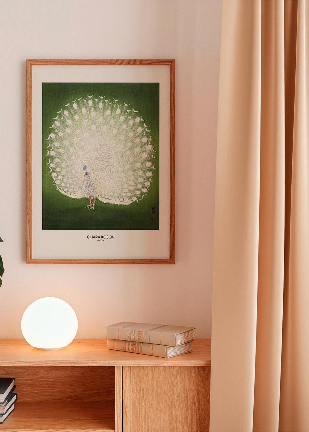 Peacock - Wide - Pictufy