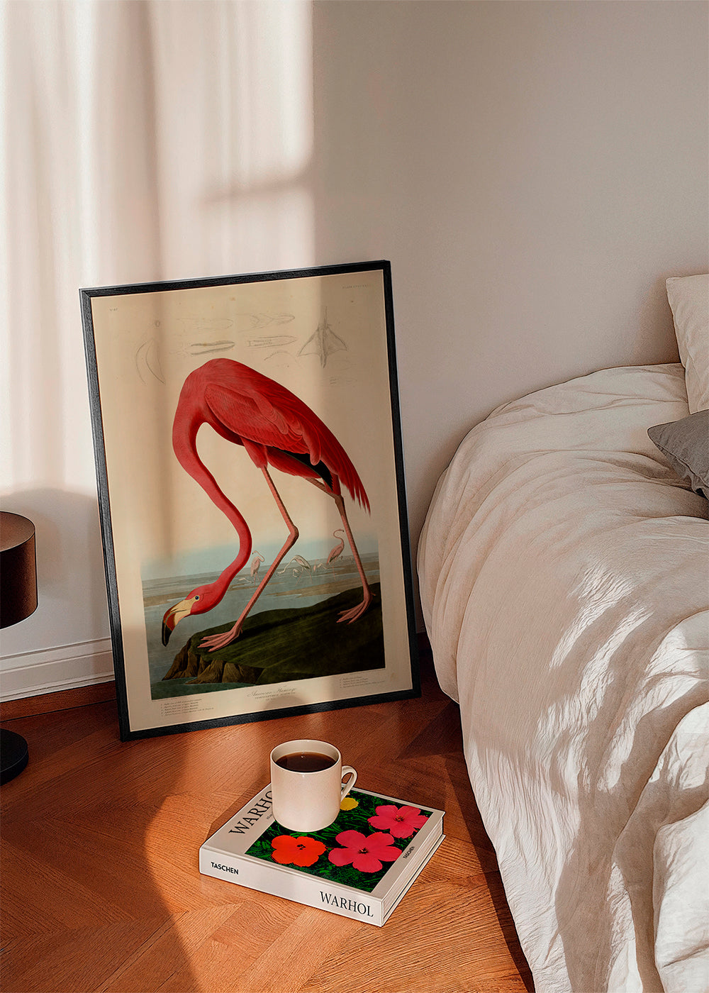 Audubon American Flamingo - The Birds of America