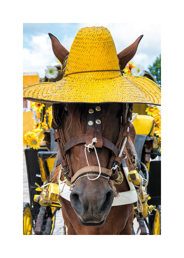 Pferd mit gelbem Hut