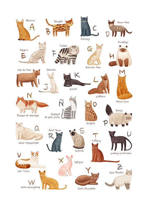 Kinderbild: Illustriertes Katzenalphabet