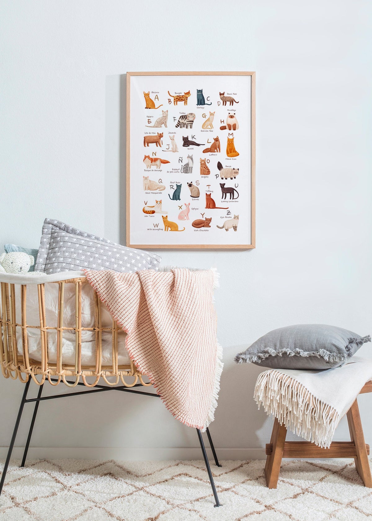 Kinderbild: Illustriertes Katzenalphabet