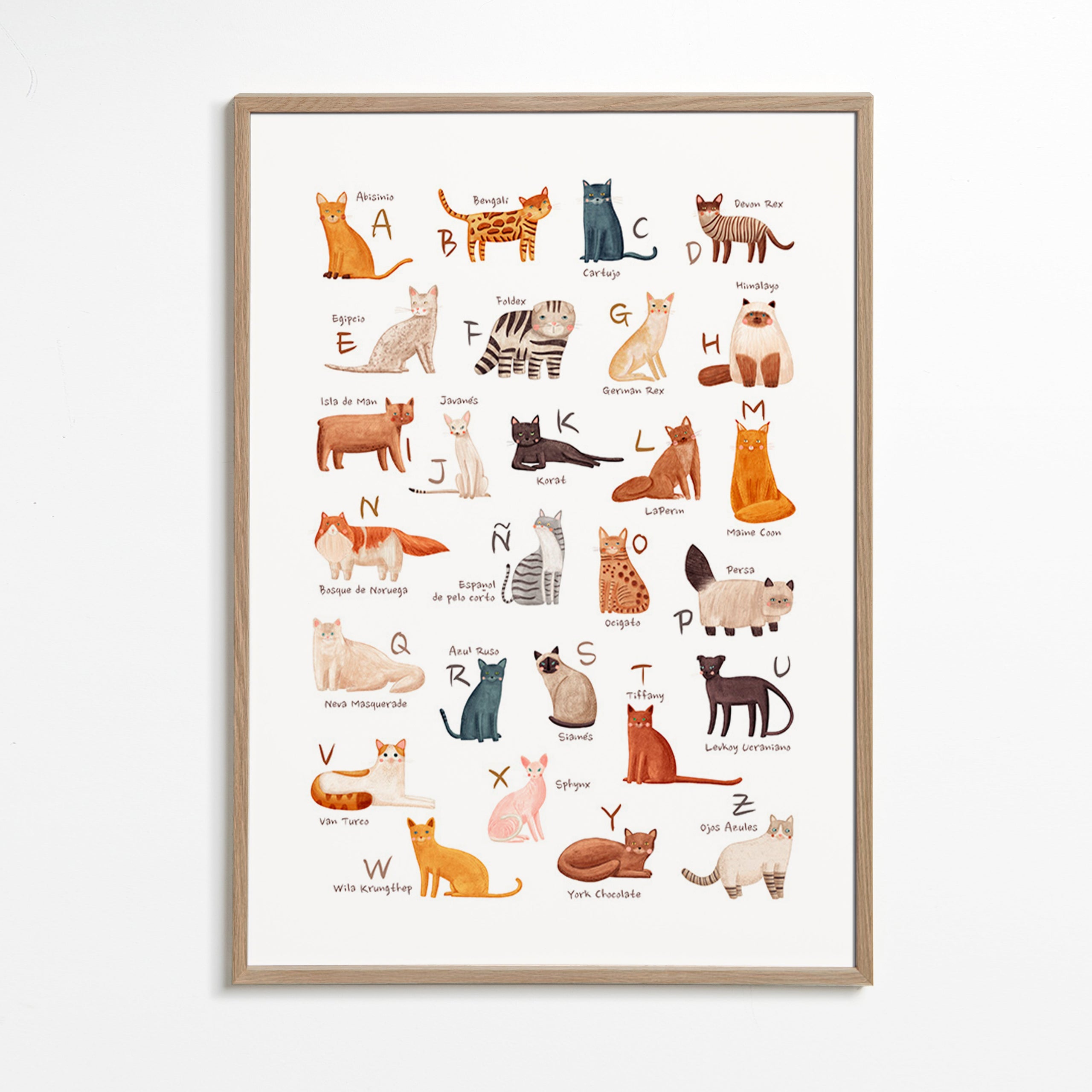 Kinderbild: Illustriertes Katzenalphabet