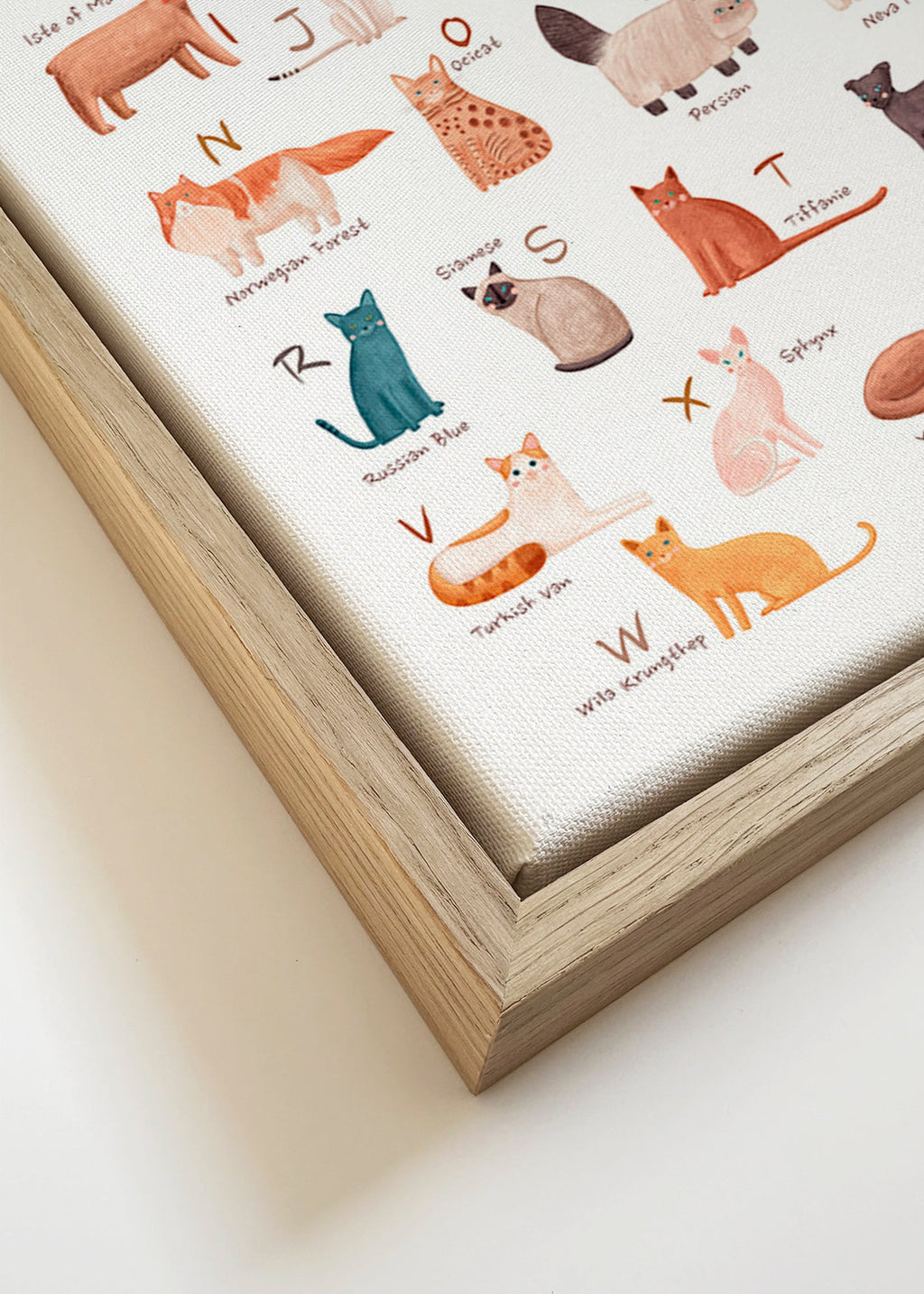 Kinderbild: Katzen-Alphabet Illustration