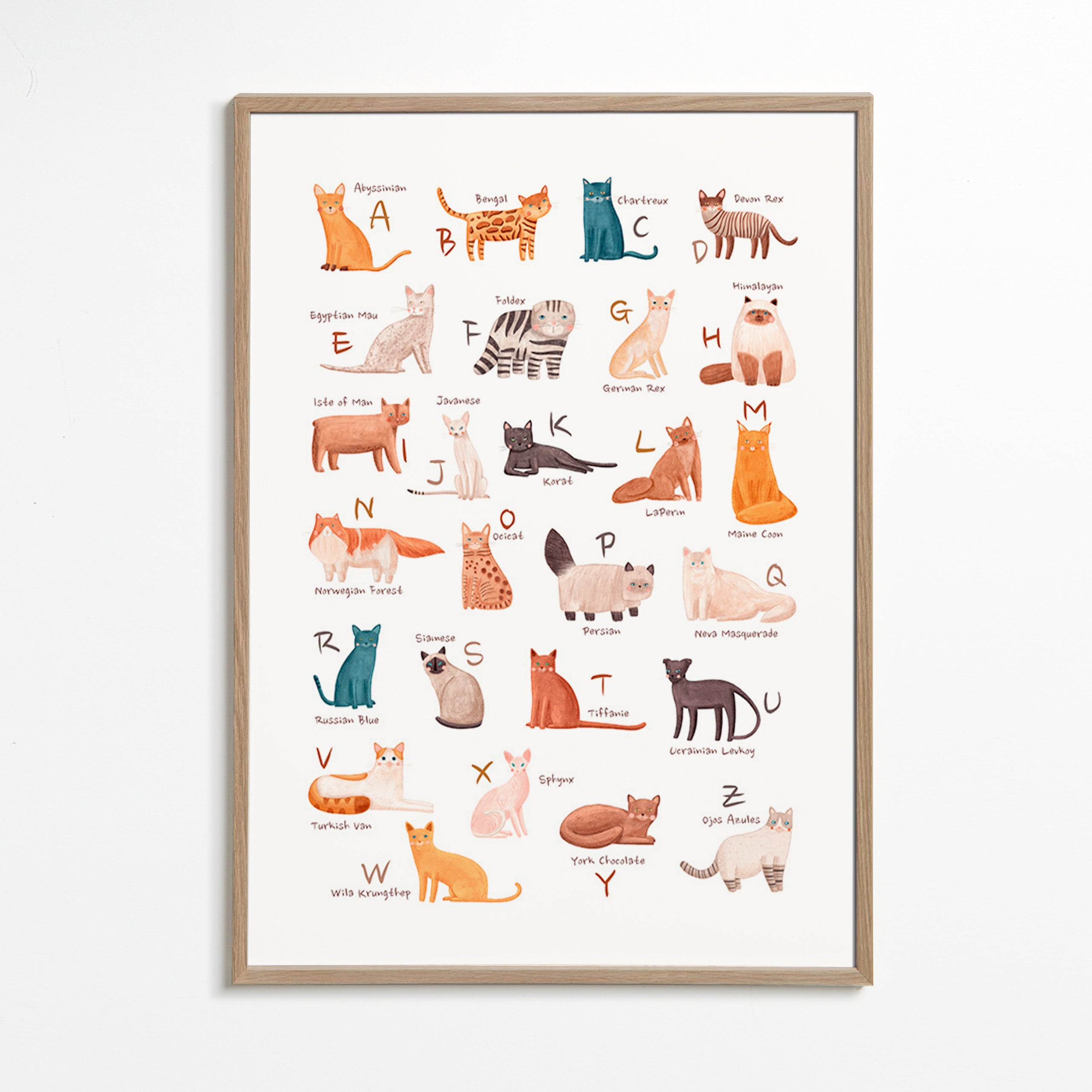 Kinderbild: Katzen-Alphabet Illustration