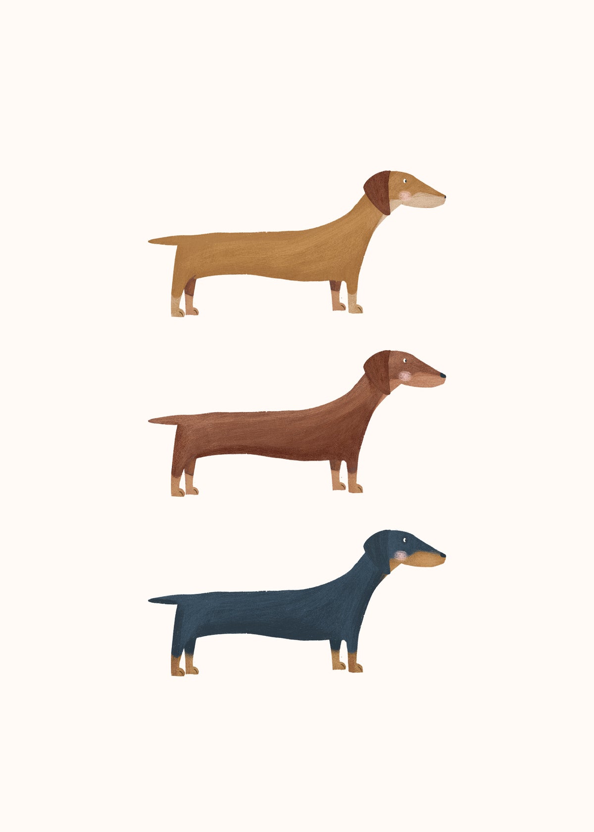 Three Dachshund Dogs - Unframed art print