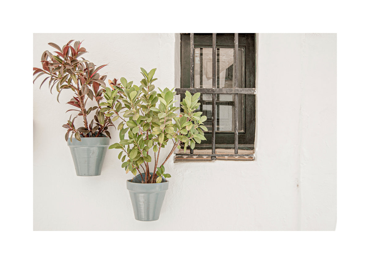 Southern Spain VII - Unframed art print