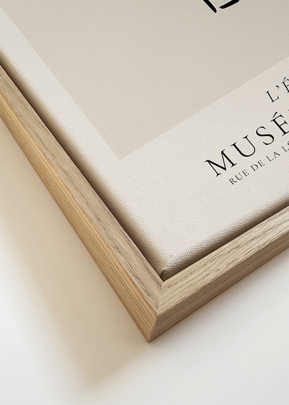 Pablo Picasso Animals Drawings the elephant