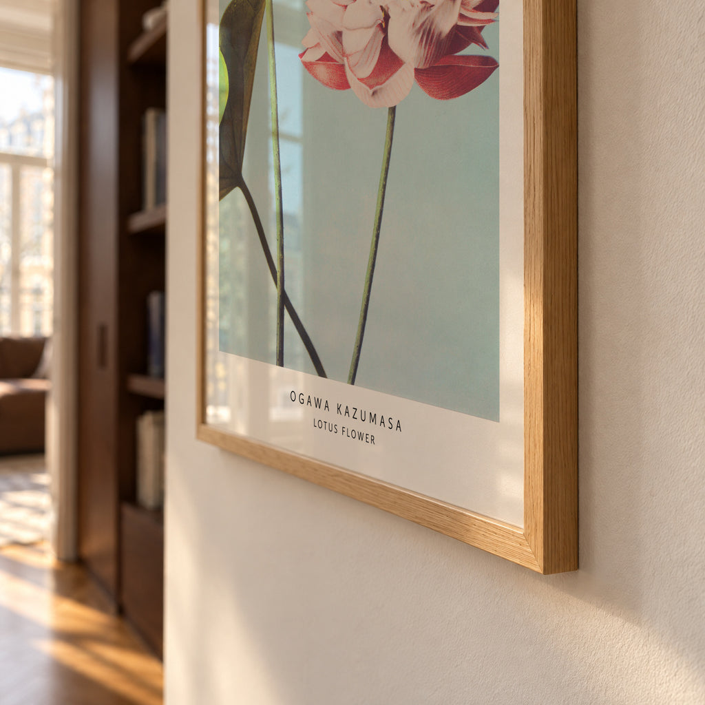 Ogawa Kazumasa Lotus Flowers - Framed poster detail
