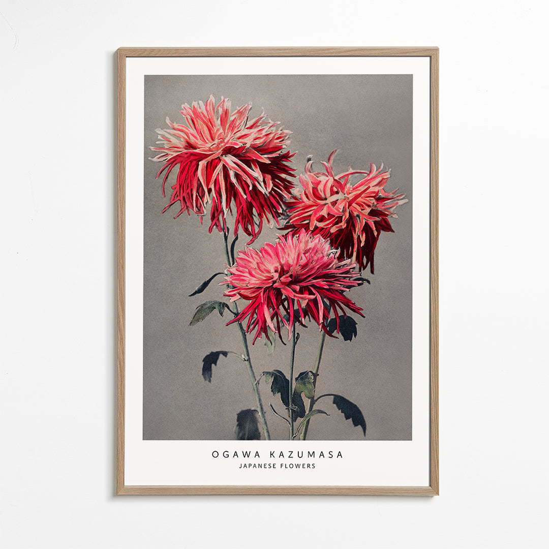 Ogawa Kazumasa JAPANESE FLOWERS