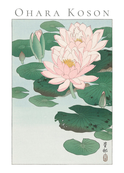 Ohara Koson Water Lily - Unframed art print