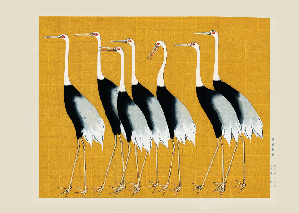 Japanese red-crowned crane vintage illustration - Unframed art print