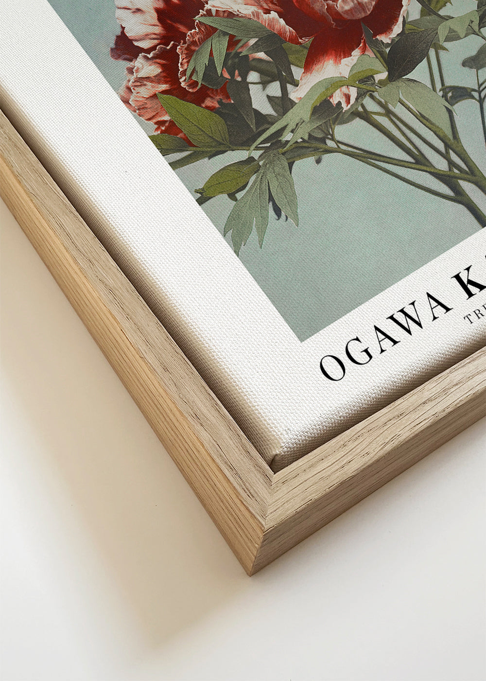 Ogawa Kazumasa Tree Peony II