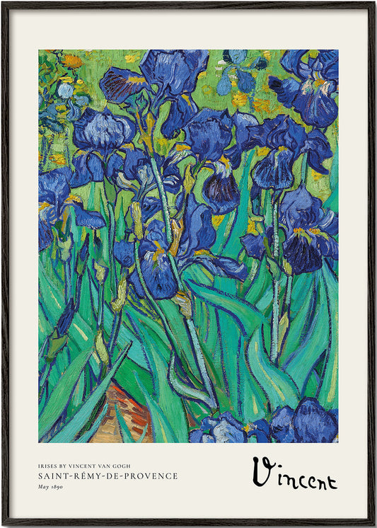 Irises by Vincent van Gogh