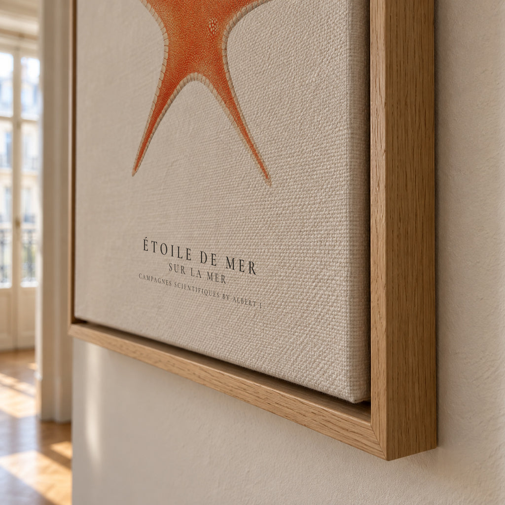 Starfish (Étoile de mer) I - Sealife Collection - Framed canvas detail
