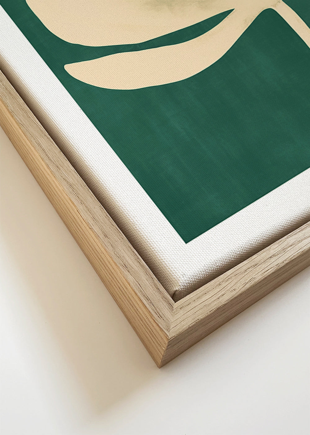 Daisy Flower (Marguerite Fleur)