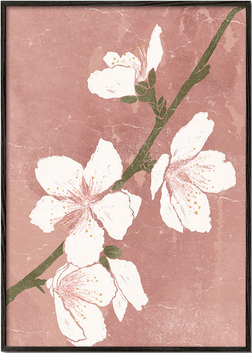 Lámina botánica con flor sobre fondo rosa – Black Frame