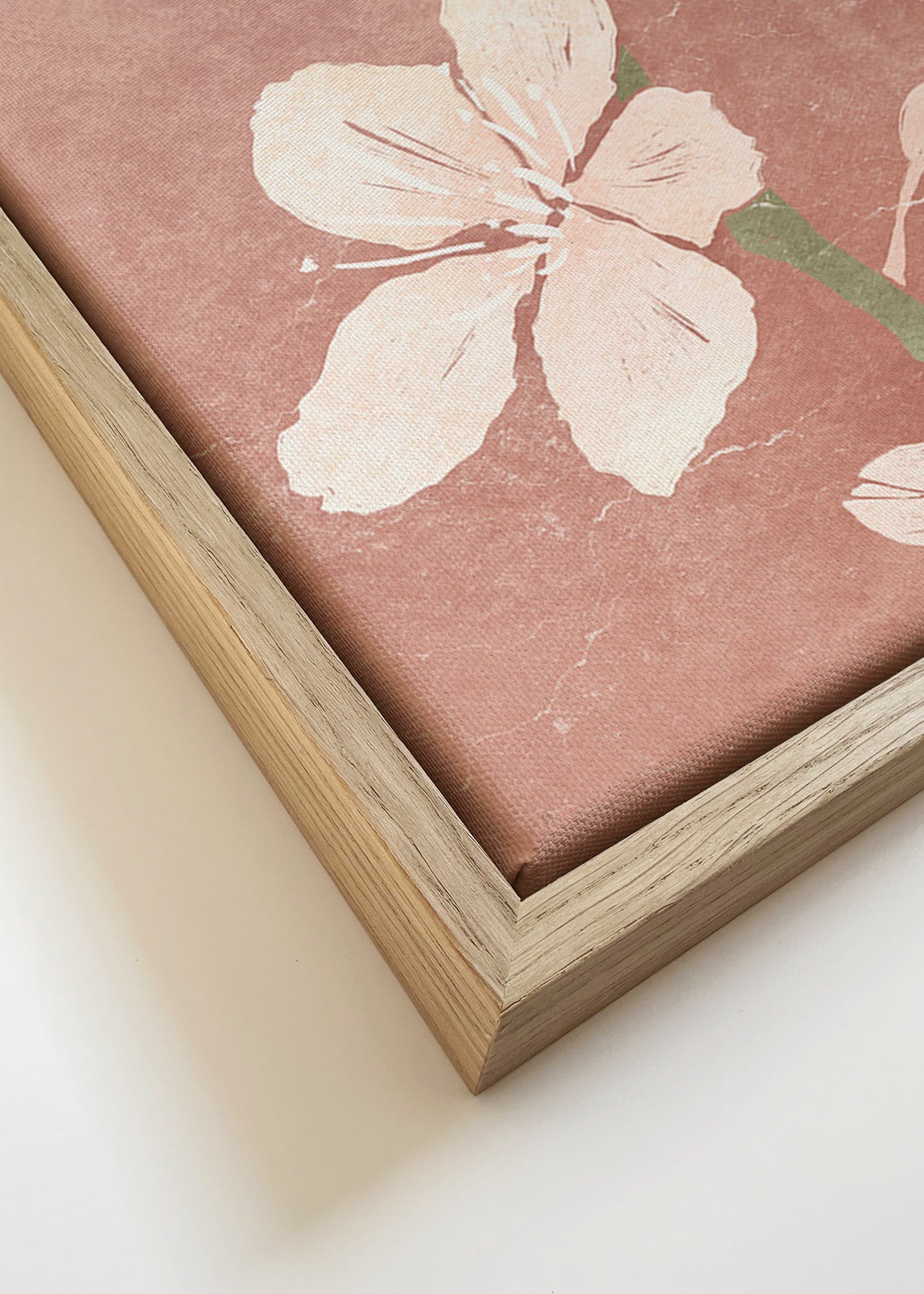 Lámina botánica rosa con flor en primer plano – Canvas detail