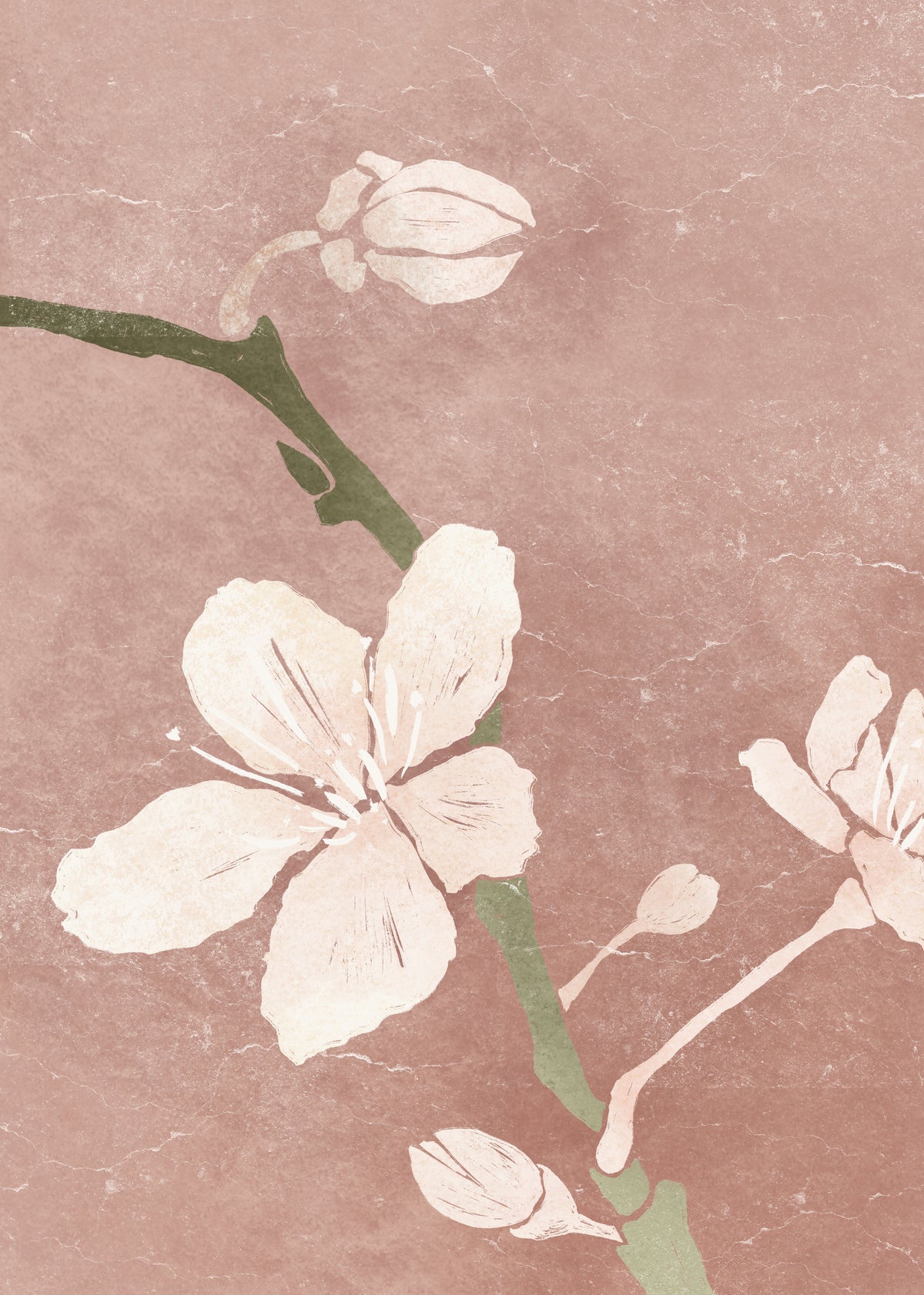 Pink Blossom II - Unframed art print
