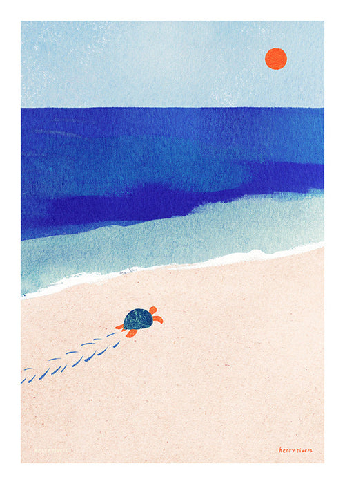 Schildkröten-Illustration am Meer
