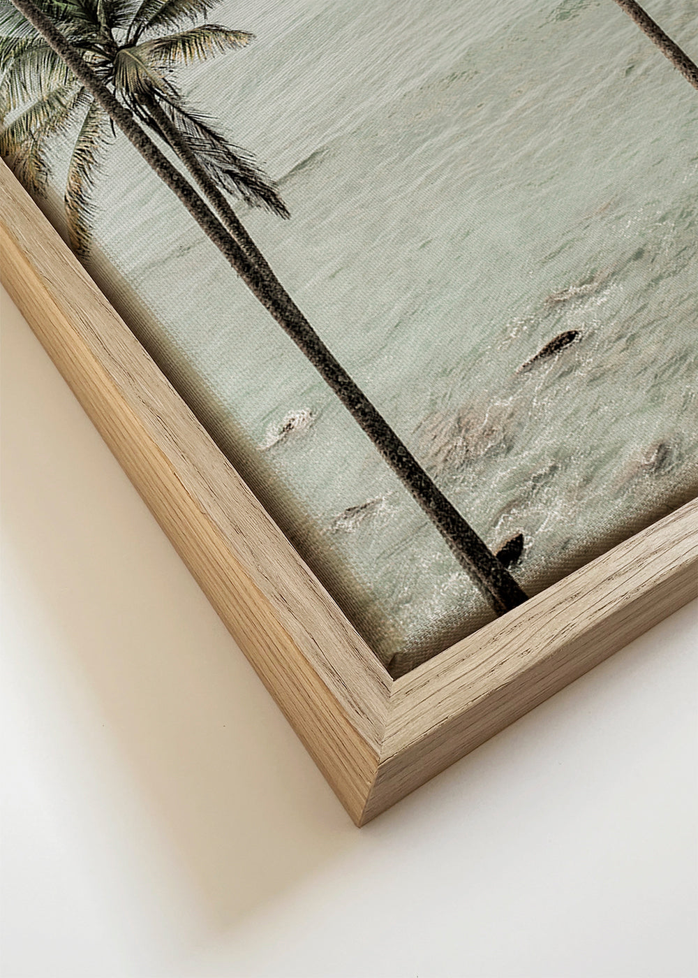 Tropical Dreams - Shot by Clint