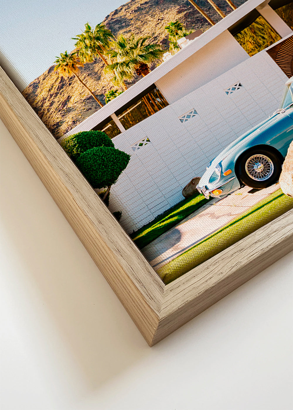 Palm Springs Ride VII - Bethany Young 