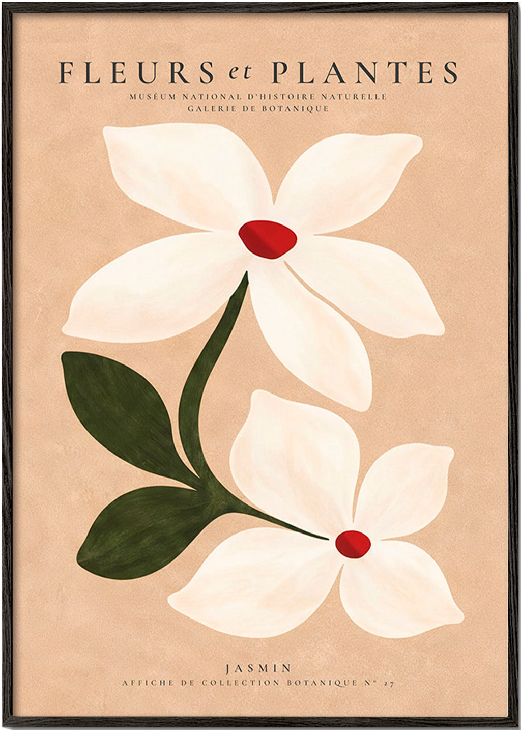 Botanischer Druck Jasmin vor beigem Hintergrund
