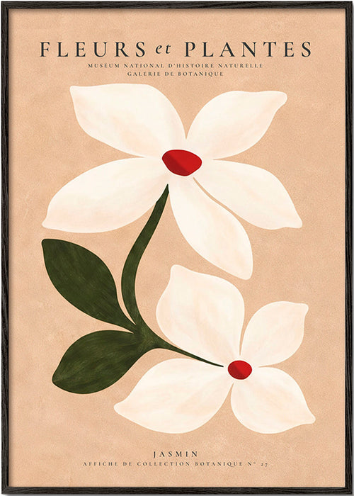 Botanischer Druck Jasmin vor beigem Hintergrund