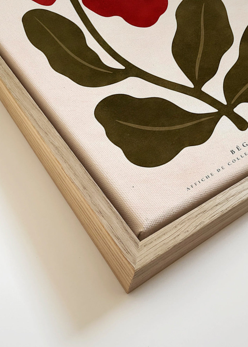 Botanischer Druck: Rote Begonie Grafik