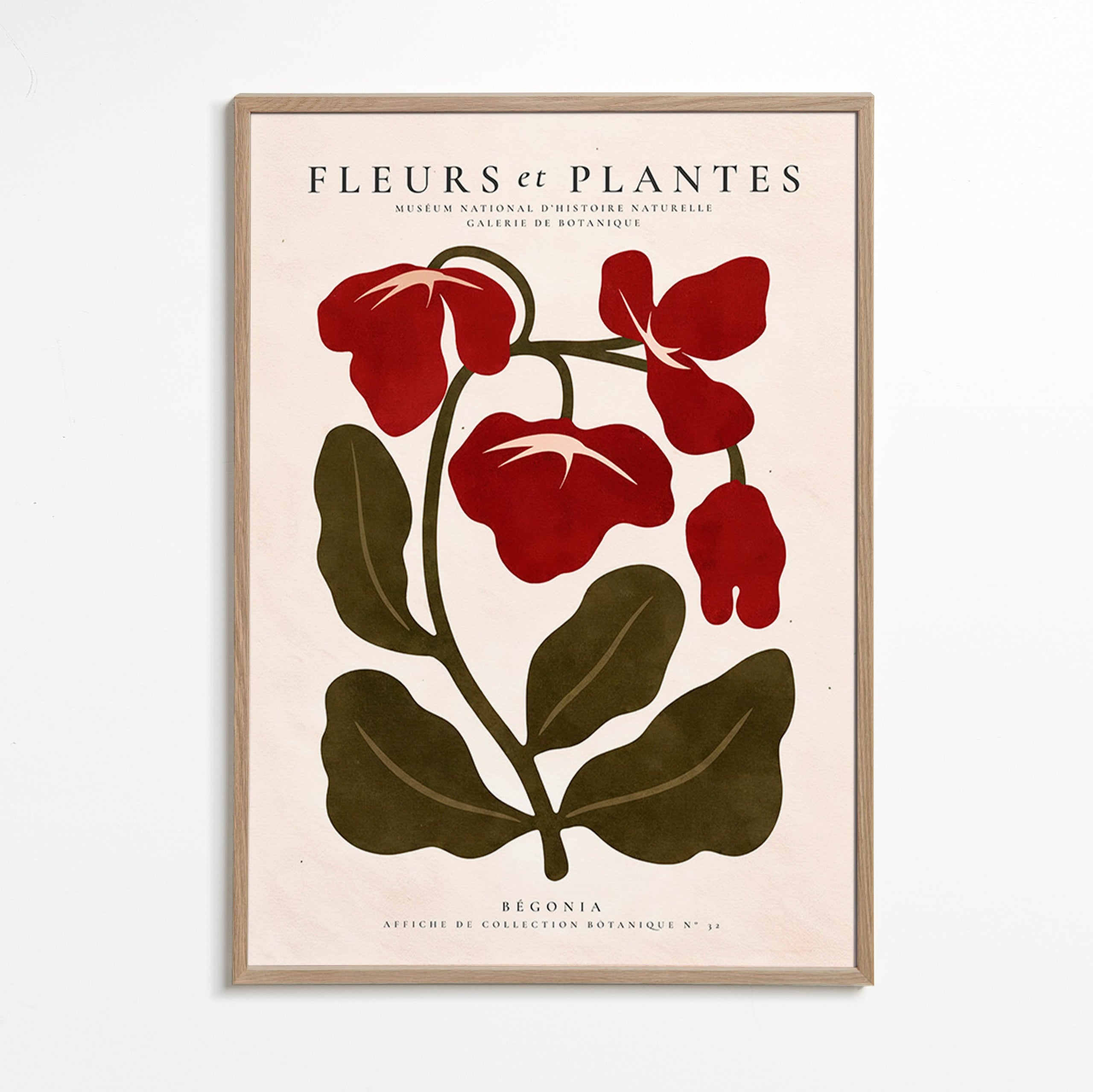 Botanischer Druck: Rote Begonie Grafik