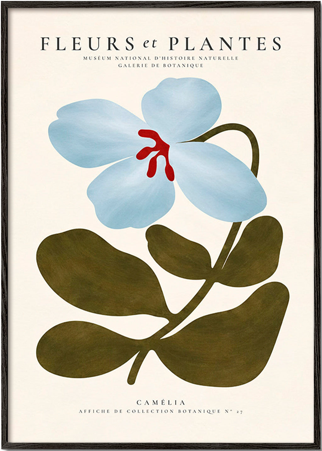 Botanischer Druck Blaue Kamelie