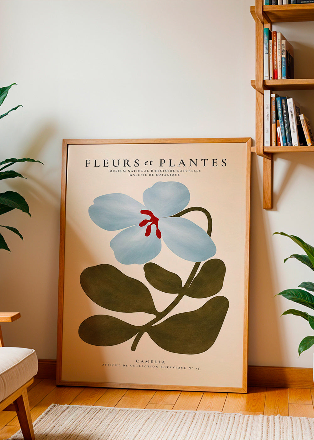 Botanischer Druck Blaue Kamelie