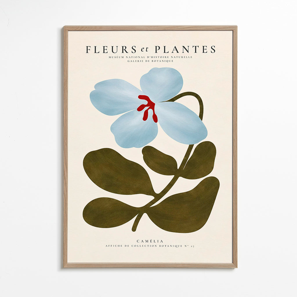 Botanischer Druck Blaue Kamelie