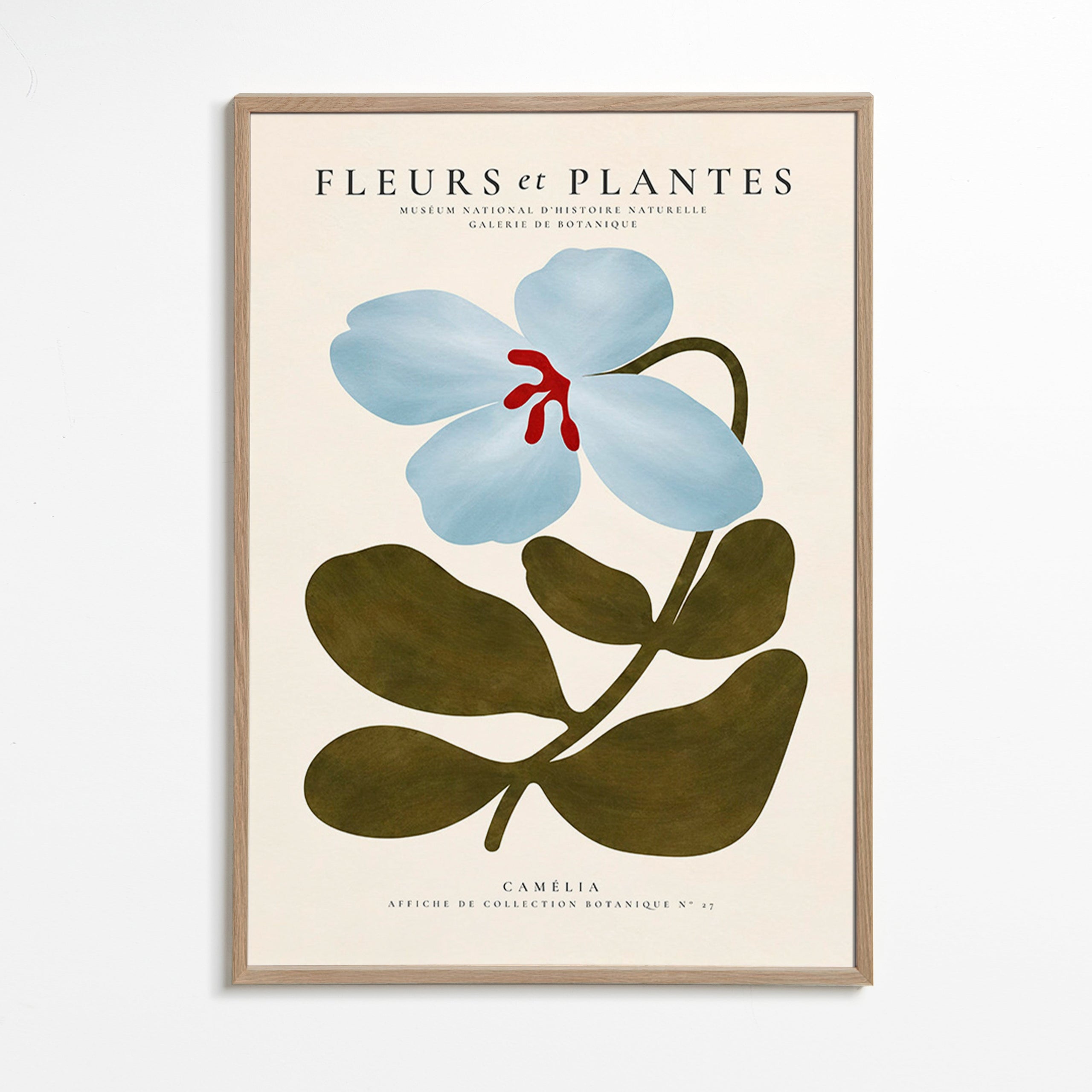 Botanischer Druck Blaue Kamelie