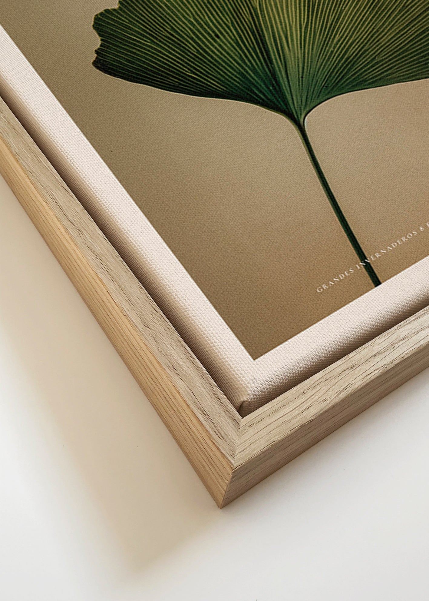 Botanischer Druck mit Ginkgo-Blatt und klassischer Typografie