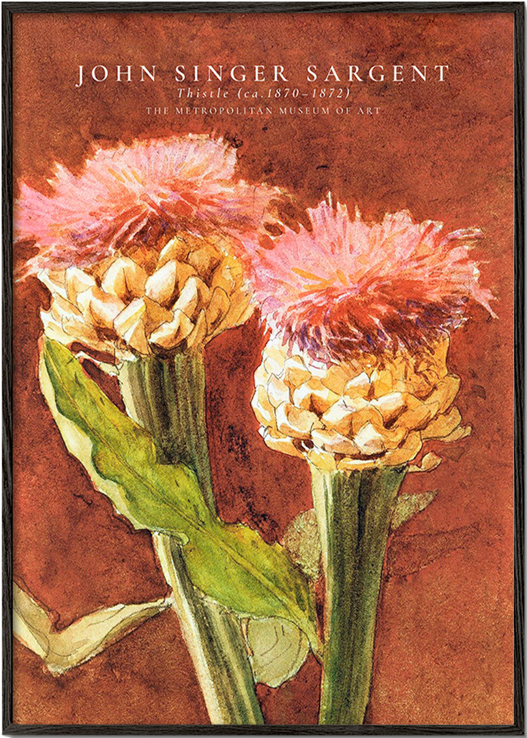 Botanischer Druck: rosa Disteln