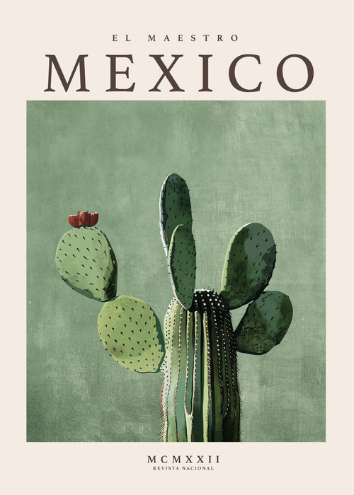 Mexico - Unframed art print