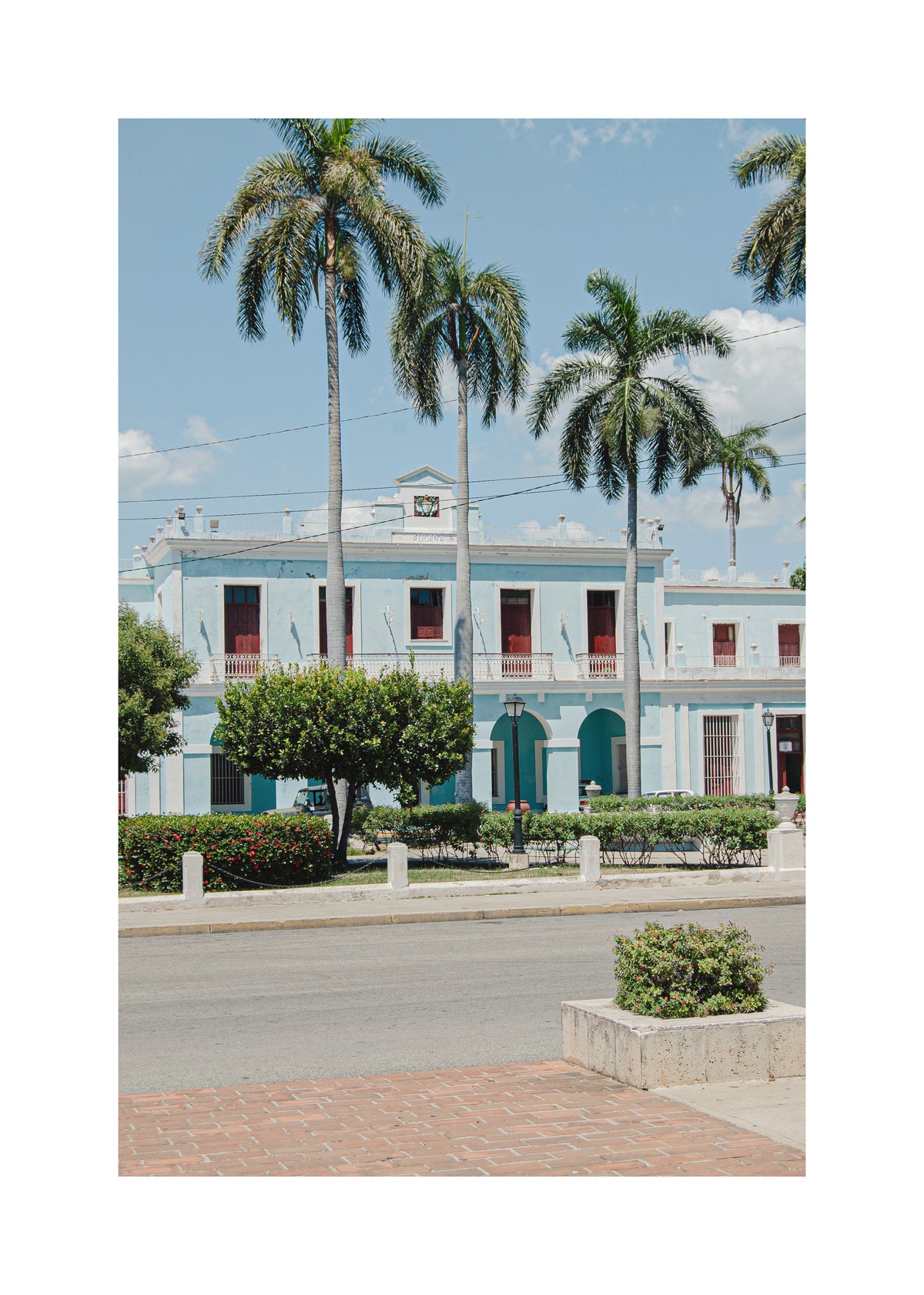 Havana Palms - Unframed art print