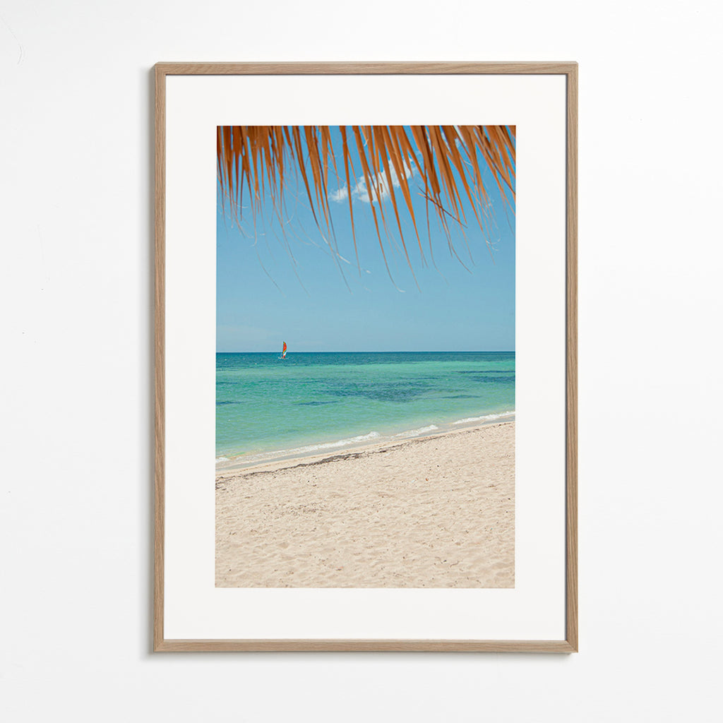 Landschaftsbild: karibischer Strand mit Palme