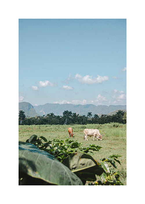 Landschaftskunst: Feld mit Kühen unter weitem Himmel