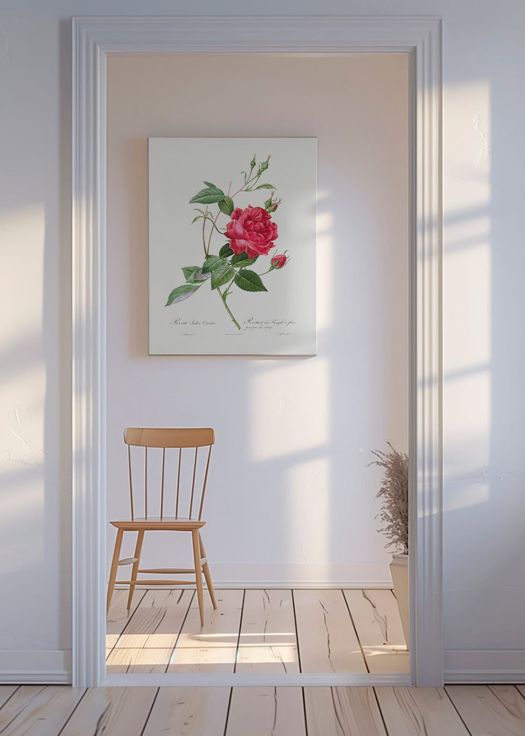 Lámina botánica con rosa roja en primer plano – Canvas