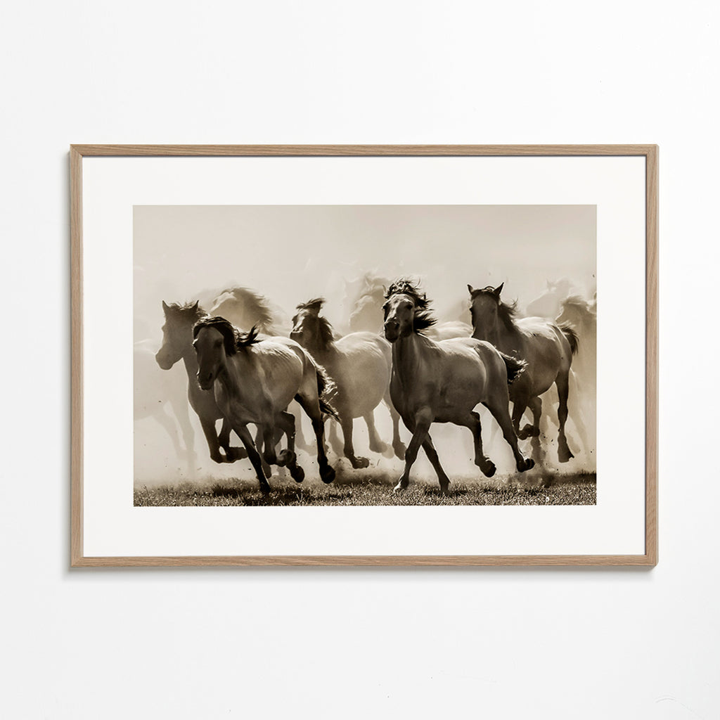Cuadro caballo en estampida sepia – Oak Frame