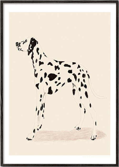 Cuadro dálmata ilustración minimal – Black Frame