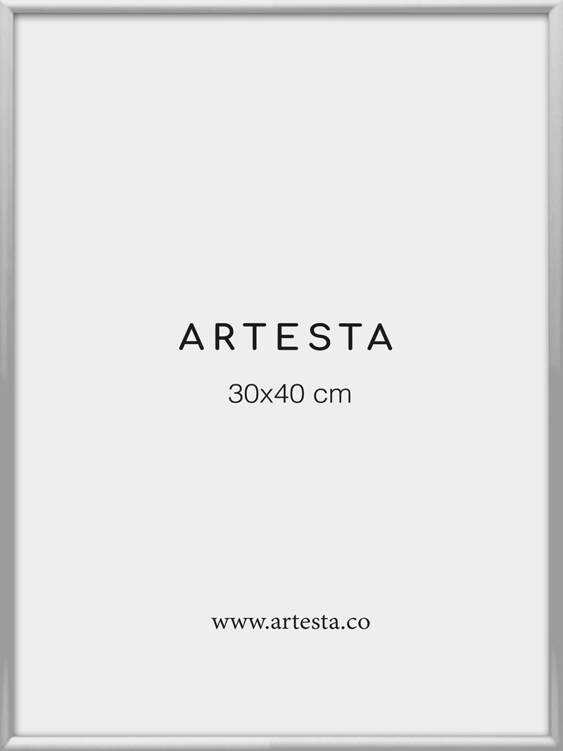 Bilderrahmen Silberfarben 30x40cm