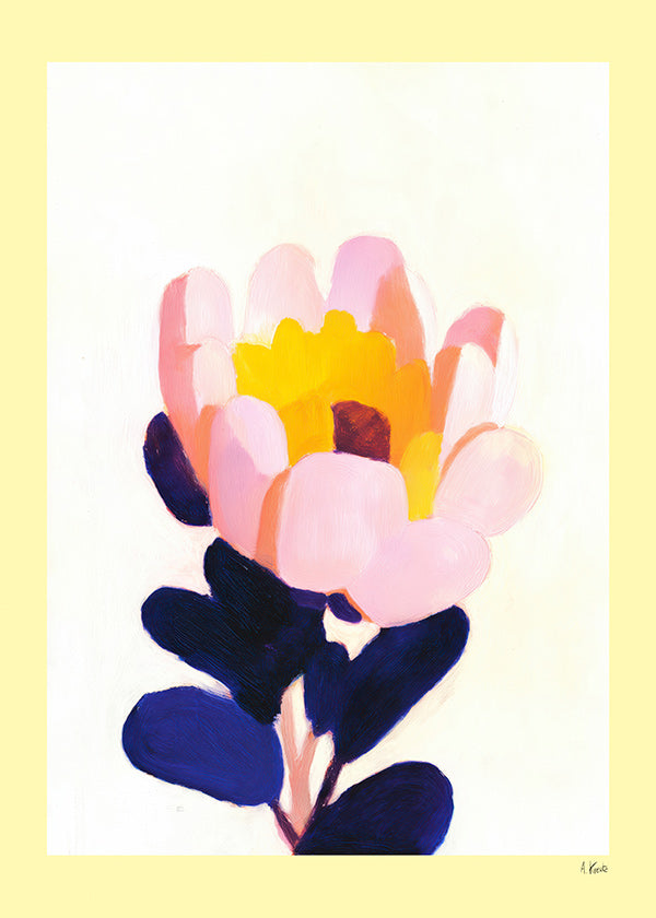 Lámina botánica: flor rosa con hojas azul profundo