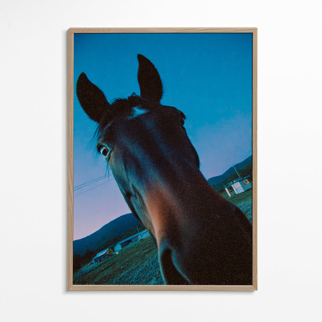 Kunstwerk Pferd Nahaufnahme bei Nacht