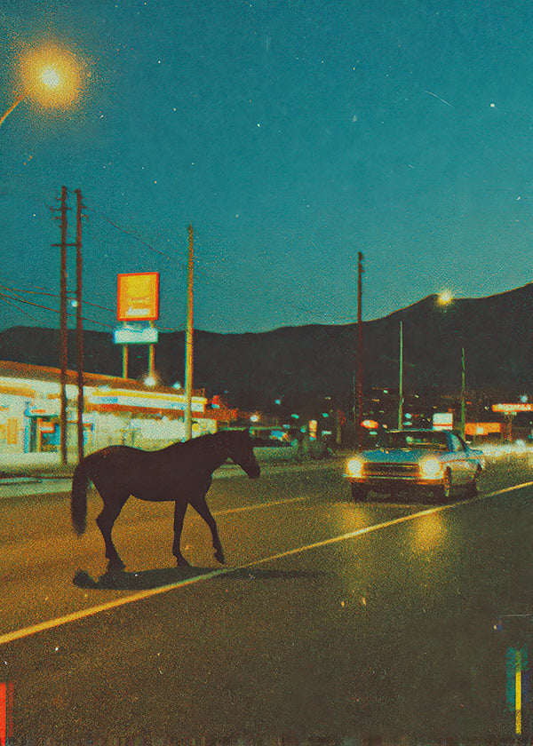 Pferd bei Nacht auf der Straße