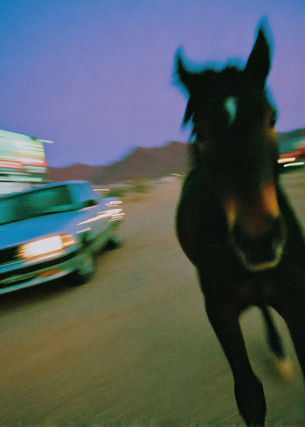 Night Rider - Unframed art print