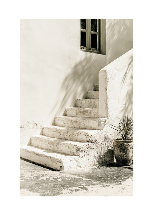 Photograph weiße Treppe mit Topfpflanze