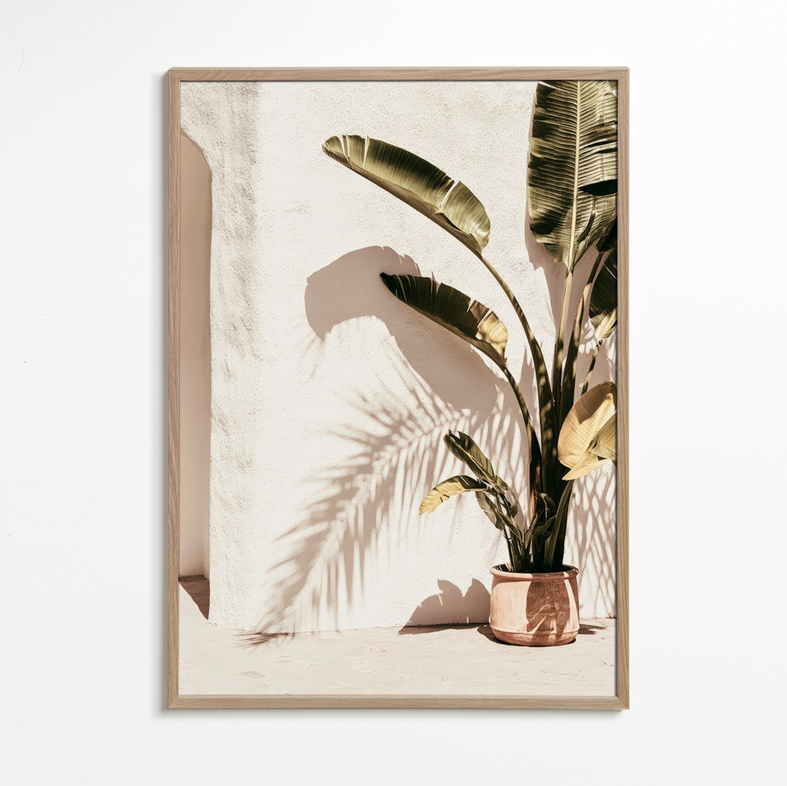 Botanischer Druck: Topfpalme