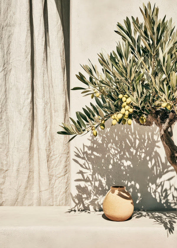 Botanical print olive branch de